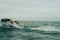 Кадры из фильма Открытое море: Монстр глубины