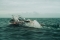 Кадры из фильма Открытое море: Монстр глубины