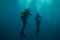 Кадры из фильма Подводный капкан