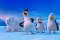 Кадры из фильма Крутые яйца: Миссия «Пингвин»