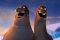 Кадры из фильма Крутые яйца: Миссия «Пингвин»