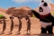 Кадры из фильма Приключения панды