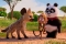 Кадры из фильма Приключения панды