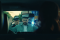 Кадры из фильма Отпуск на всю голову